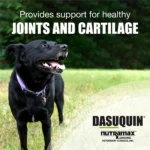 Nutramax Dasuquin Joint Health Supplement for Large Dogs 03