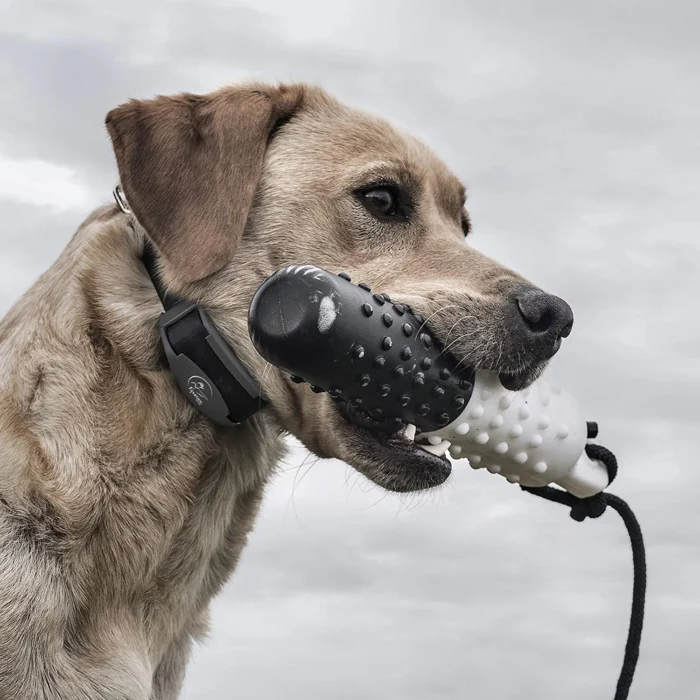 SportDOG Brand FieldTrainer 425X Remote Trainer 07